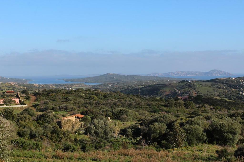 Appartamento L'Albero Magico Nella Campagna Gallurese Santa Teresa Gallura Eksteriør billede