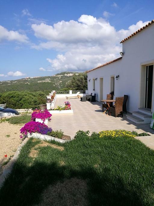 Appartamento L'Albero Magico Nella Campagna Gallurese Santa Teresa Gallura Eksteriør billede