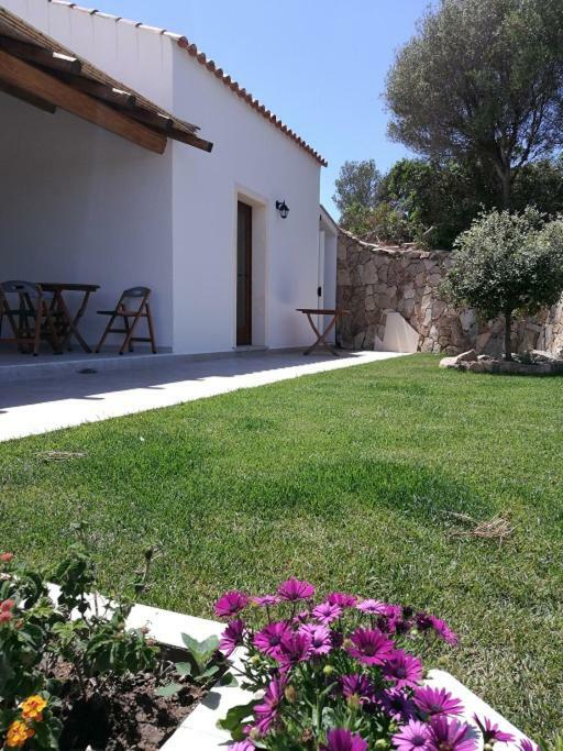 Appartamento L'Albero Magico Nella Campagna Gallurese Santa Teresa Gallura Eksteriør billede