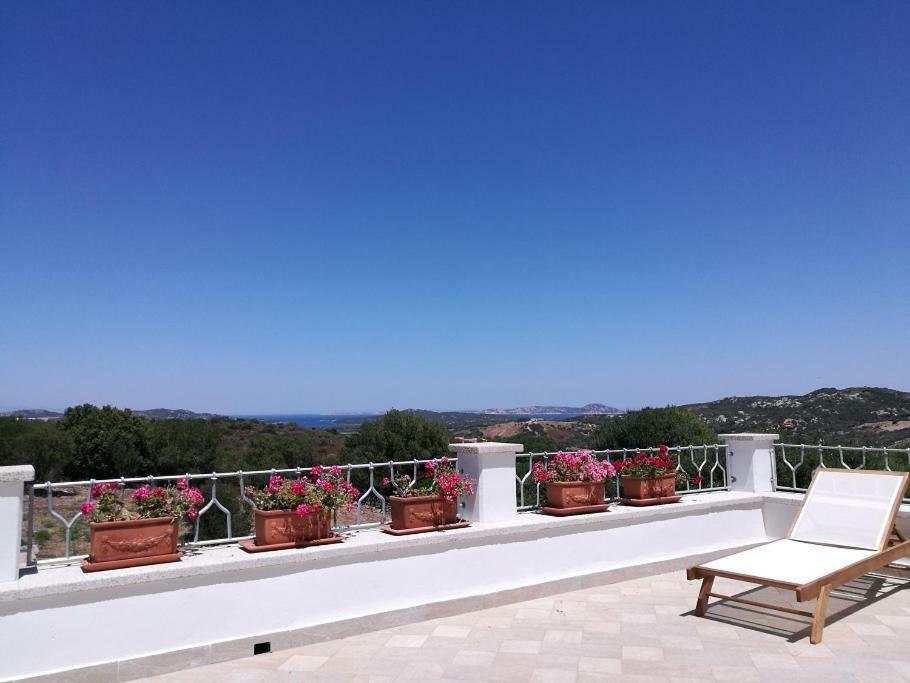 Appartamento L'Albero Magico Nella Campagna Gallurese Santa Teresa Gallura Eksteriør billede