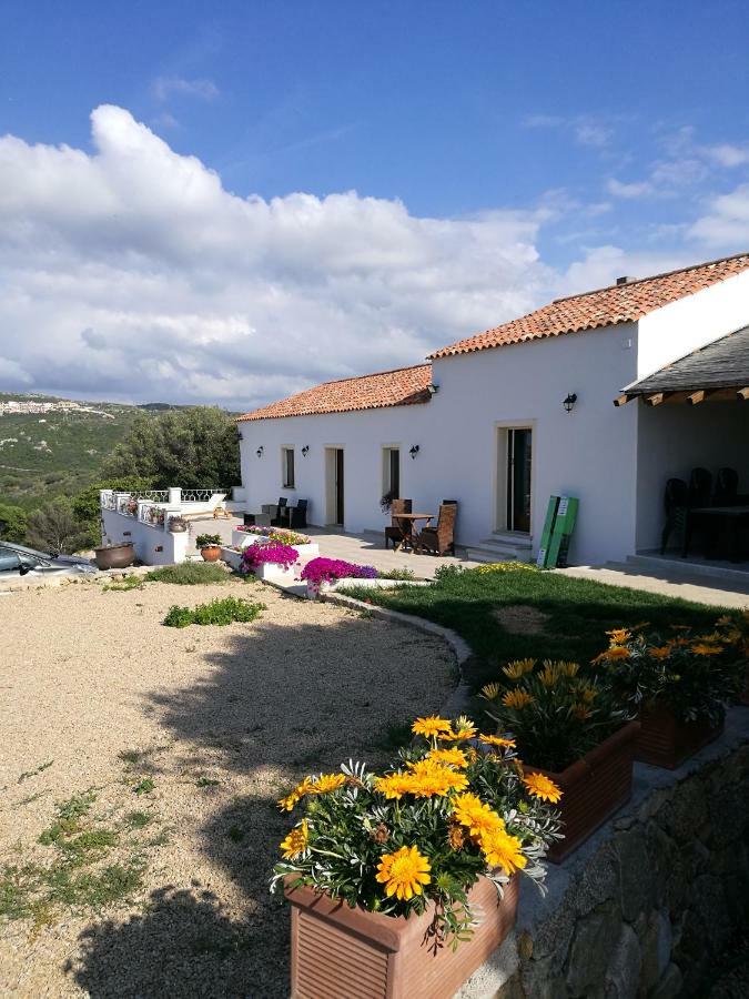 Appartamento L'Albero Magico Nella Campagna Gallurese Santa Teresa Gallura Eksteriør billede